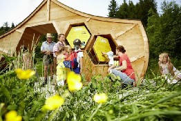 Bienenlehrpfad 